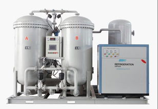 50立方变压吸附制氮机 高效节能的工业气体解决方案